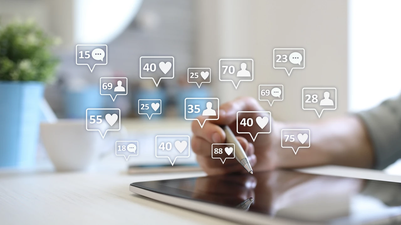 How do startups get tens of thousands of Twitter followers?
